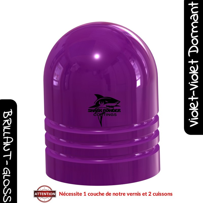 Poudre Violet Candy 1kg (Dormant) Thermolaquage Powder Coating Finition Brillant