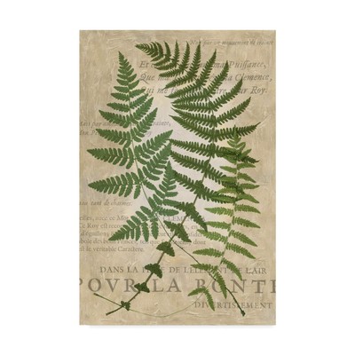 WAG00412-C1219GG Fern Folio I by Vision Studio, 12x19-Inch, 12x19, Multicolor