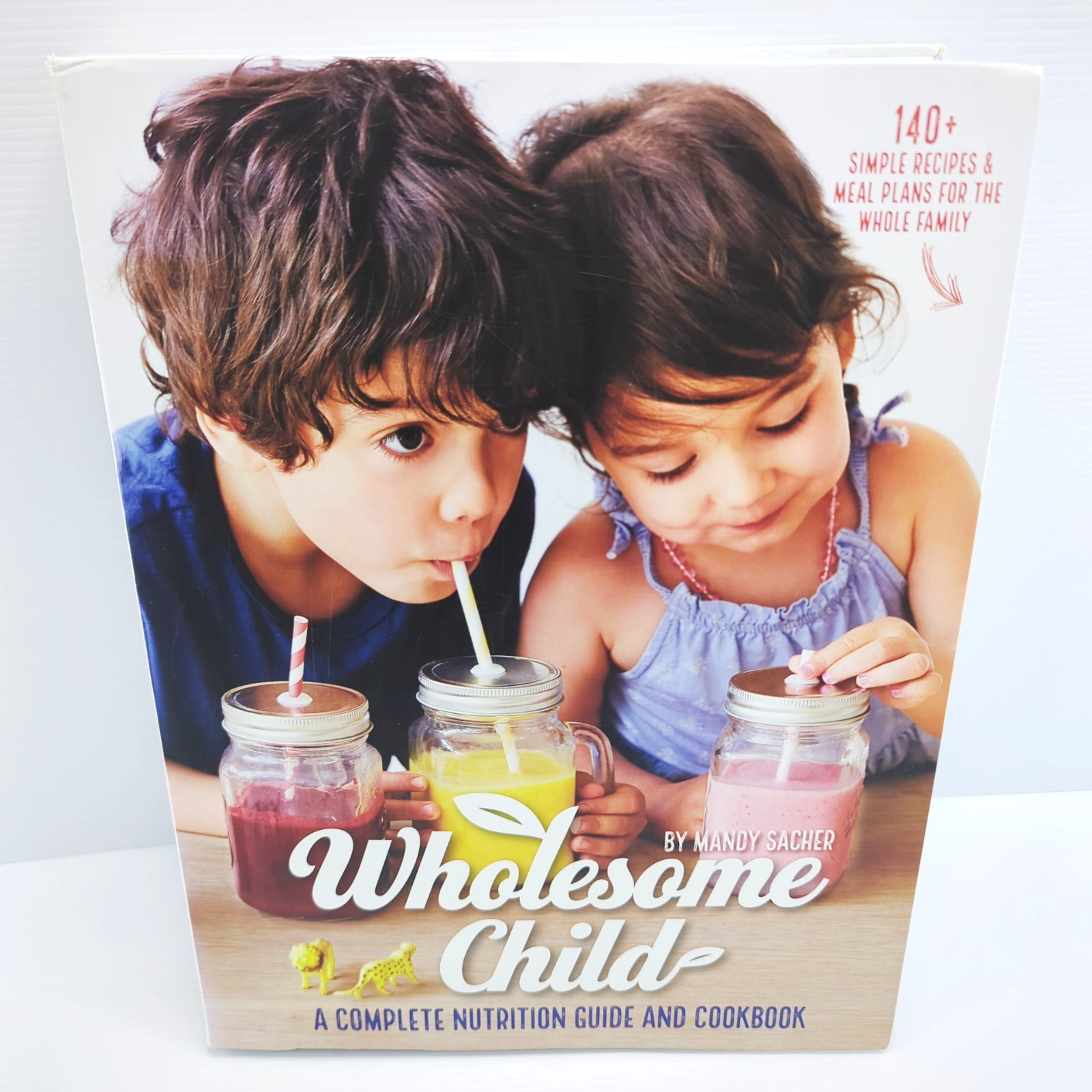 Wholesome Child A Complete Nutrition Guide And Cookbook by Mandy Sacher