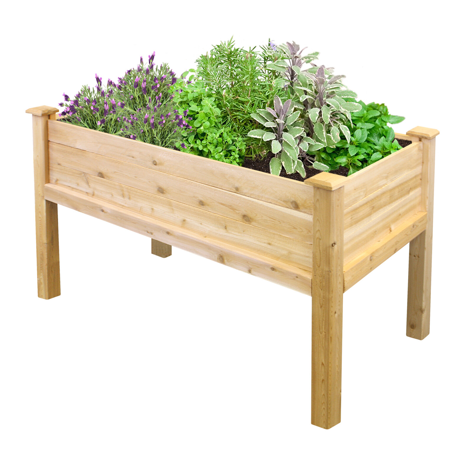 Elevated Garden Bed Cedar Wood Flower Herbs Vegetables Growing