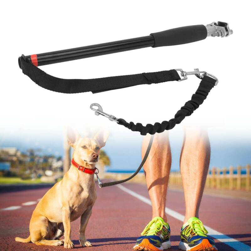 Fahrradhalterung Hund Führleine Fahrradhalter Leine Fahrrad Abstand