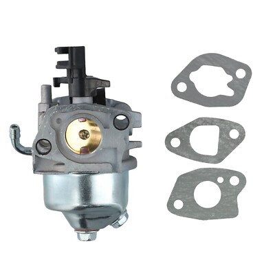 Huayi OEM Vergaser Für Firman P01201 Gasgenerator – Ersatzvergaser Mit Kraftstofffilter & Leitung Für 80CC Motor