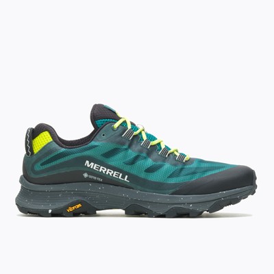 Мужские кроссовки Merrell Moab Speed GORE-TEX Sea Moss 8 M Athletic