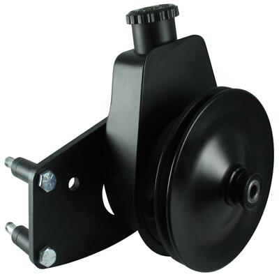 Borgeson Power Steering Pump For 1974 Mercury Comet B77BE7-29BF