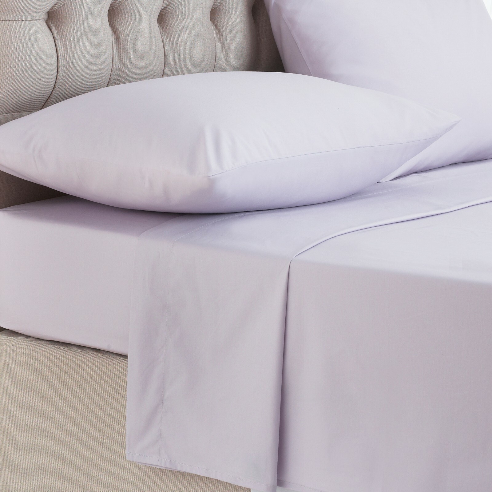 FLAT SHEETS EGYPTIAN COTTON 200 THREAD WHITE IVORY BLUE BLACK SINGLE