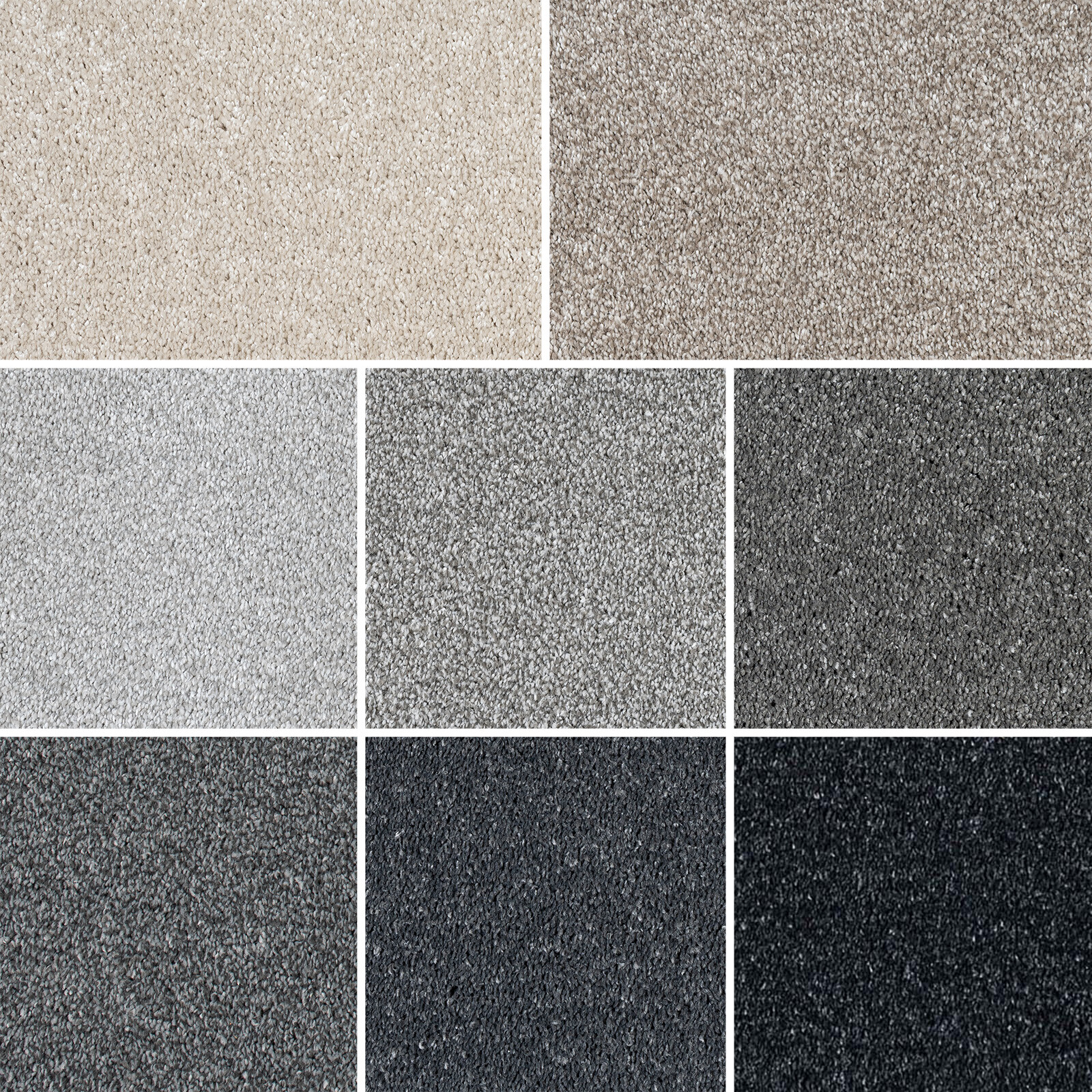 Soft Saxony Carpet Hard-Wearing Stain Resistant 15mm Thick Lounge Bedroom 5m