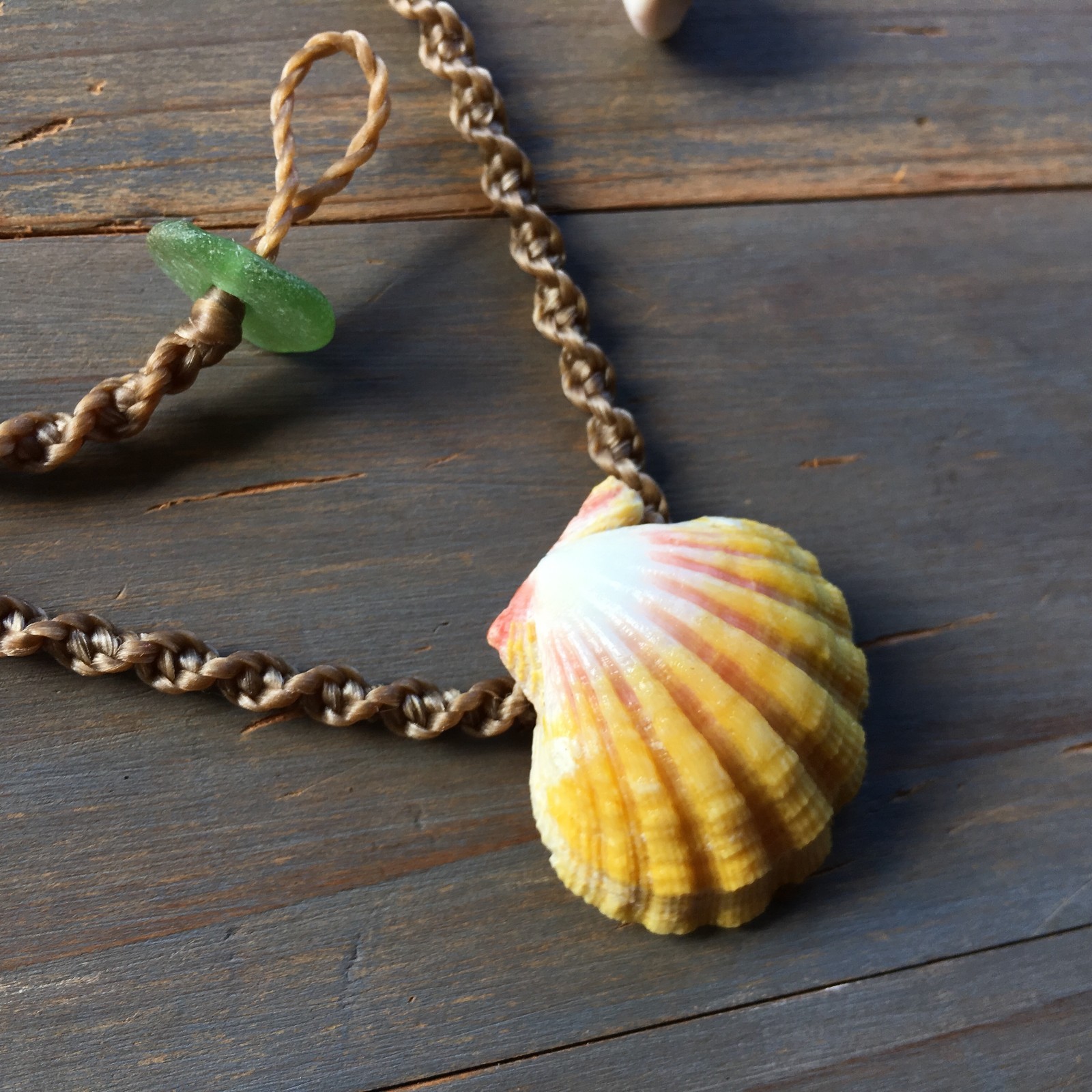 Classic Hawaiian sunrise shell necklace with ridges