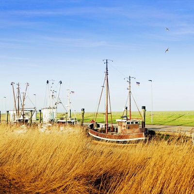 Nordsee LUXUS Kurzurlaub Biohotel be active 2P + Frühstücksbuffet uvm