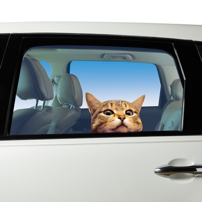 Whimsical Cat Face Vinyl Window Decal