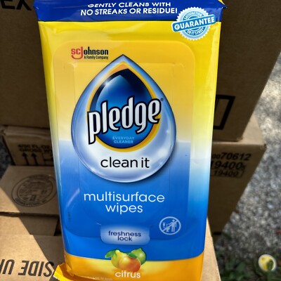Case Of Pledge Multi Surface Everyday Wipes ct 12/packs Of 25