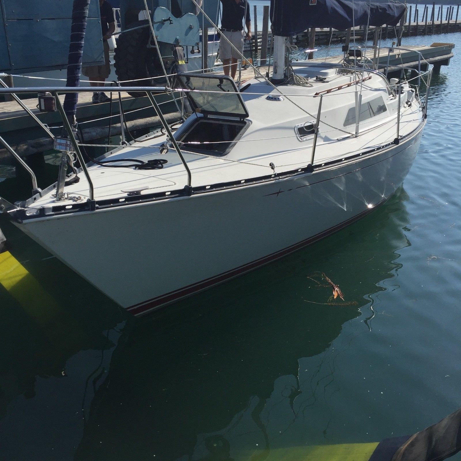 C&C 29-2