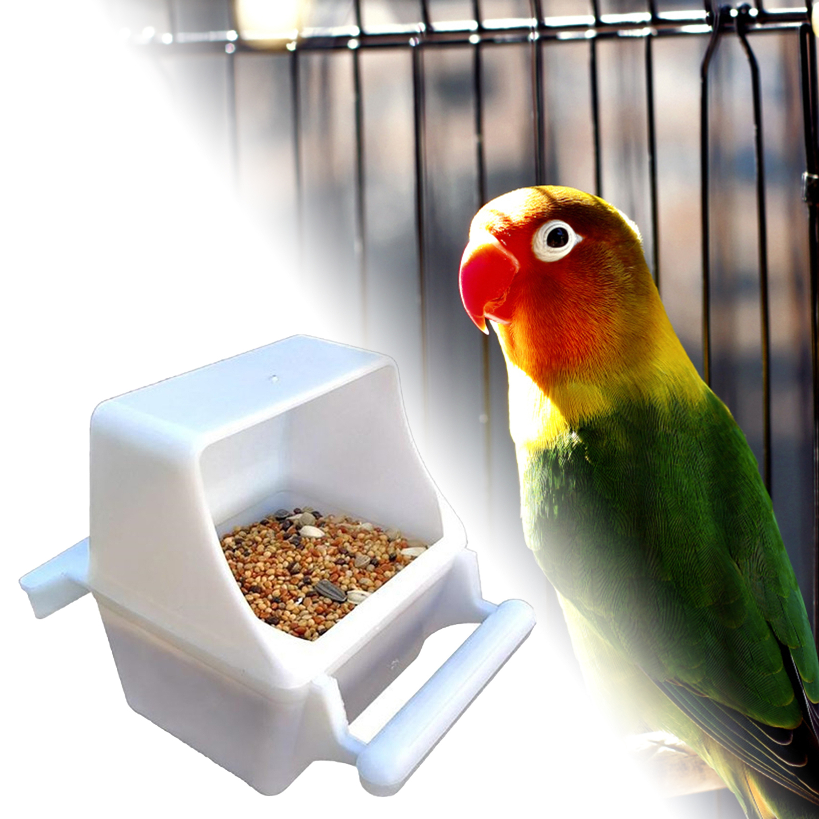 Bowl For Parakeet