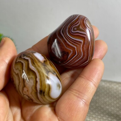 2pc rare Natural Gobi silk wrapped agate Madagascar beautiful to watch 76g c328