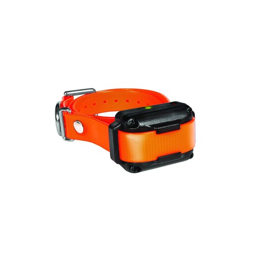 メガバス Dog-X（W）2002 MOON-WALKER-O Megabass Dog X Moonwalker W