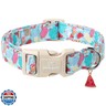 Maca Bates Summer Dog Collar with Watermelon Charm for Small Girl Boy Dogs Blue Ice Cream Print Durable,Soft,Thick,Adjustable Puppy Basic Collars for Male Female with Safety Buckle