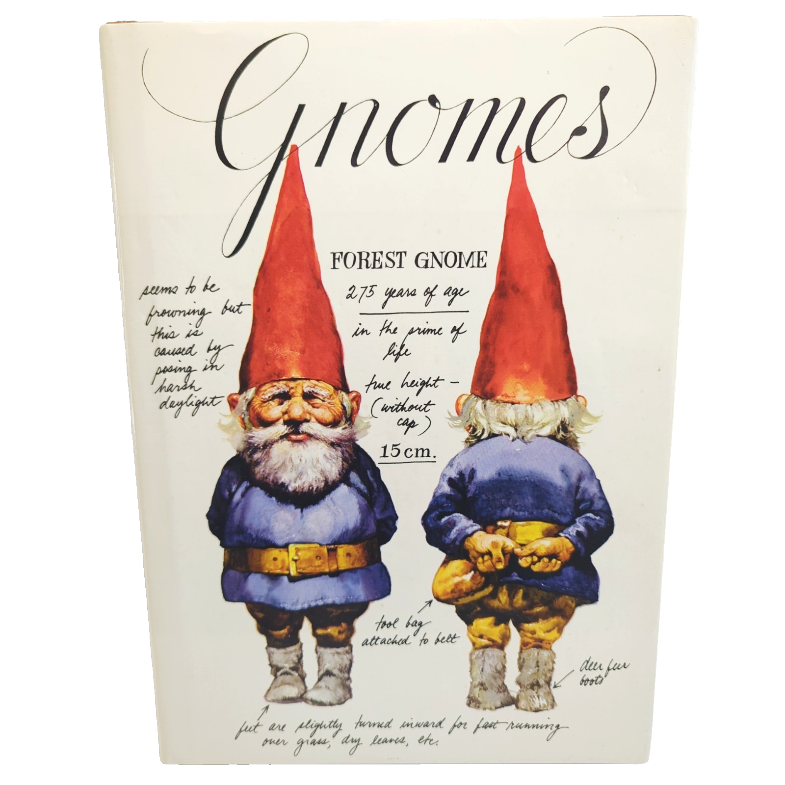 Preview of Gnomes