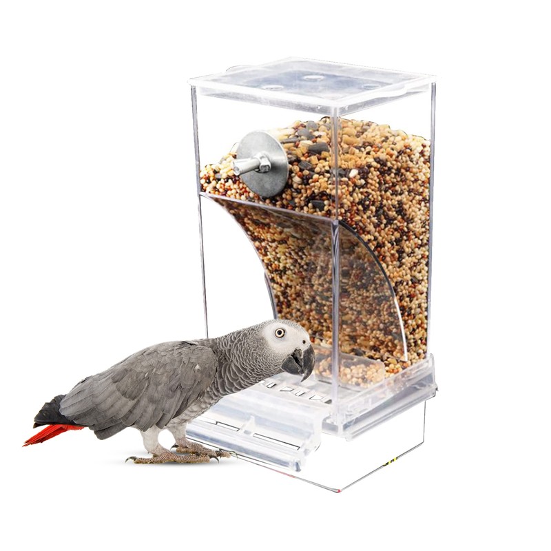 S Automatic Parrot Feeder Drinker Acrylic Seed Food Container