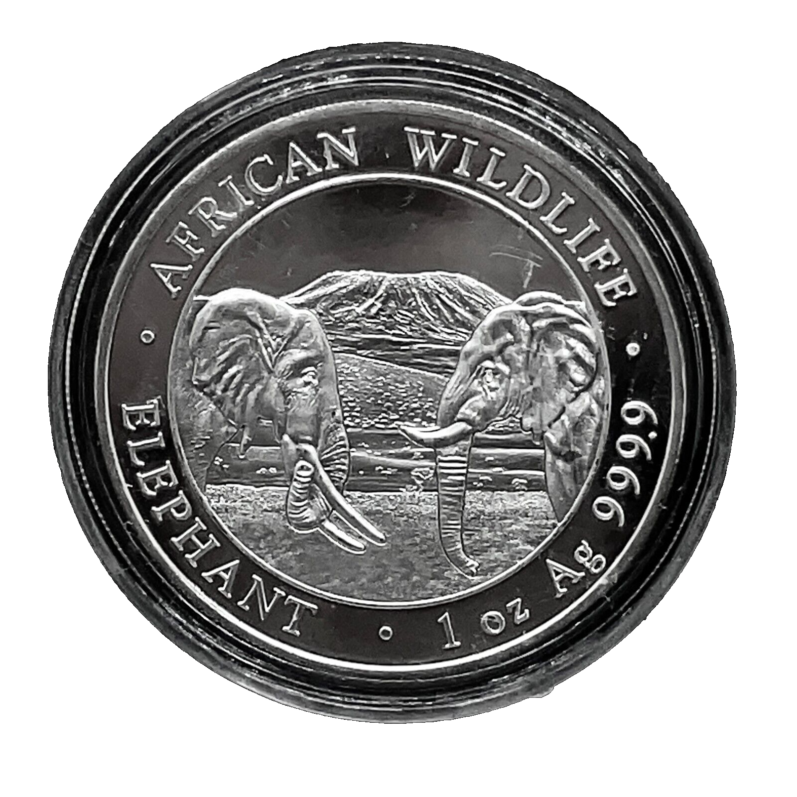 2020 Somalia 100 Shillings African Wildlife 999 Silver Proof  Elephant Coin