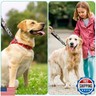 Reflective Nylon Padded Handle Short Dog Leash - for Large and Medium Sized Dogs