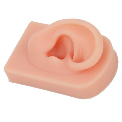 Silicone Ear Model Soft Flexible Right Ear Reusable Human Ear Model For Ear HAO