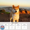 QR Code Pet Smart ID Dog cat Tags for Collar Personalized for Online Profile - Scan QR Receive Instant Location Alert Email, Anti-Lost,No Subscription fees,NO app (Pink, for Dog - 1.2