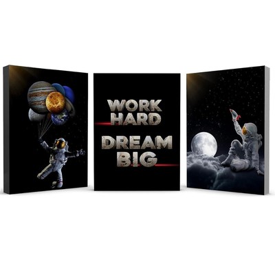 NIB 3x Framed Canvas - WORK HARD DREAM BIG