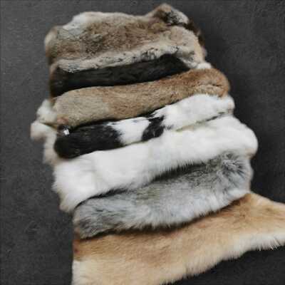 NEUE Kaninchenfelle in natürlichen Farben Hasenfelle Kaninchen Hase Fell B-Ware