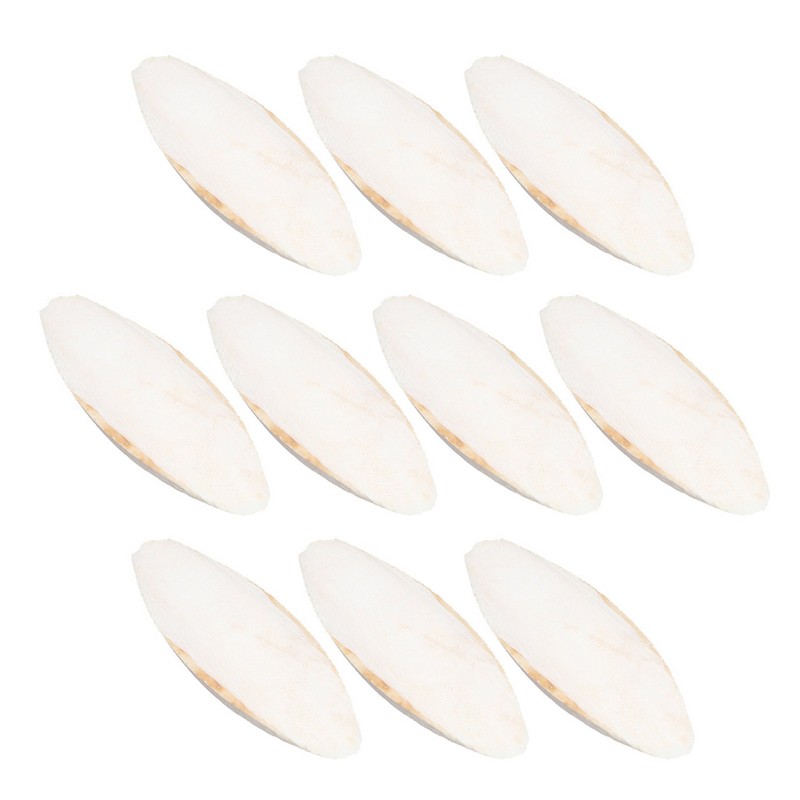 10 Pieces Bird Cuttlebone Toys Parrot Chew Calcium Toy Chewing Cuttlefish Bone