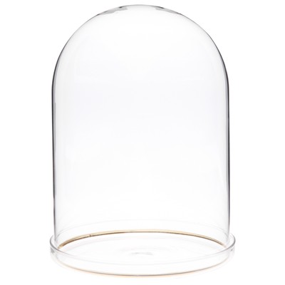 Plymor 5.5'' x 8'' Glass Dome Cloche with Gold Rim (Clear Glass Tray Base), 6 Pack