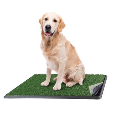 Reusable 4-Layer Artificial Grass Puppy Dog Potty Pad with Tray - Large, 20x30