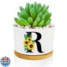 Sunflower Succulent Plant Pots 3 Inch Ceramic Cactus Flower Pots Personalized Initials R Sunflower Gifts for Women Mom Sister,Birthday Housewarming,Wedding,Window Garden Desk Decor
