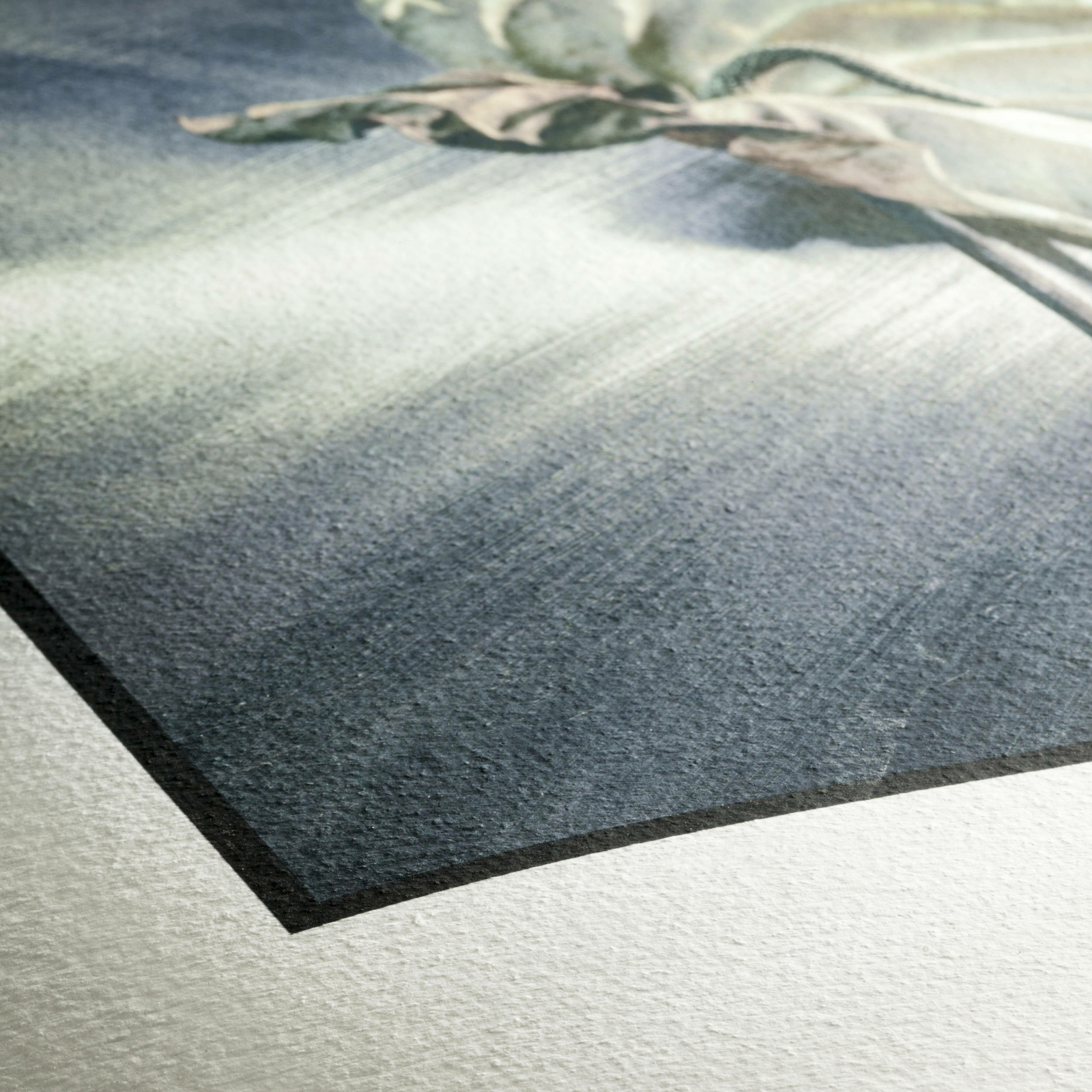 Hahnemuhle German Etching Paper 310gsm 8.5 x 11" 25 Sheets