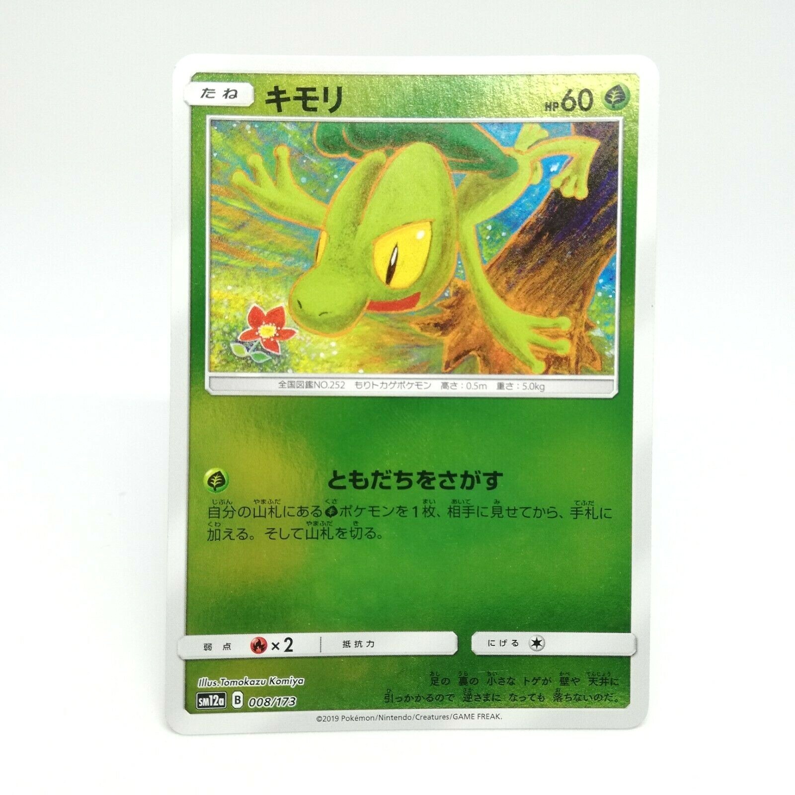 緑柚壺 Treecko Pokémon card HP60 No.008/173 2019 Year Nintendo