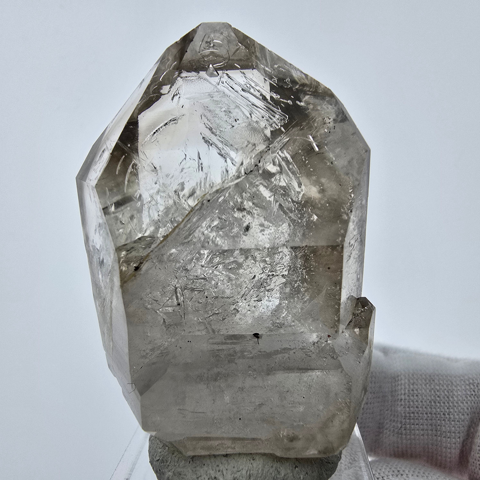 Enhydro Phantom Rauchquarz Zepter Spitze 1x Blase Goboboseb, Namibia 48*31*22mm