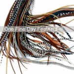 onefinedayfeathers