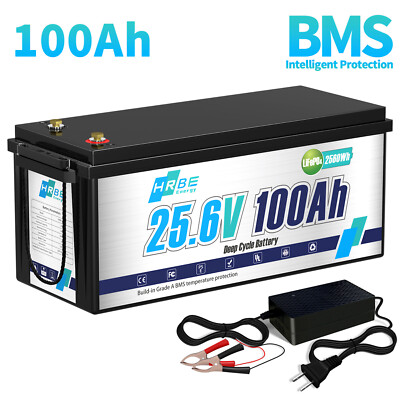 24V 100Ah LiFePO4 Lithium Battery 100A BMS Deep Cycles for Marine Home RV Motor