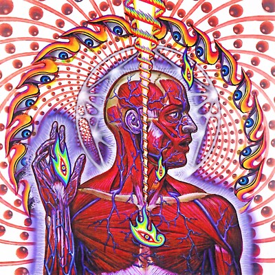 Tool Lateralus ALTERNATE COVER 12x12 Album Cover Replica