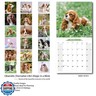 2025-2026 Wall Calendar Cavalier King Charles Spaniel Planner Calendar, Hangable Monthly Wall Calendar with Large Blocks for Organizing and Planning, Academic Schedule, Home, Office and family, Thick and Sturdy Paper (12