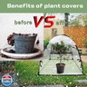 FCIHROSITCE Plant Tent Freeze Protection, Winter Plant Cover Freeze Protection 28