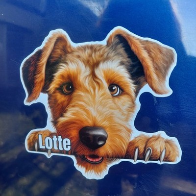 Artikelfoto(s) von einem verifizierten Käufer