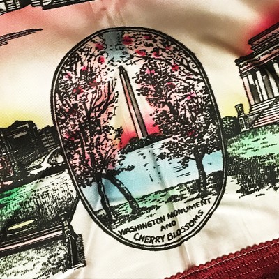 1950's Washington DC Rayon Silk Pillowcase RED lovely vintage