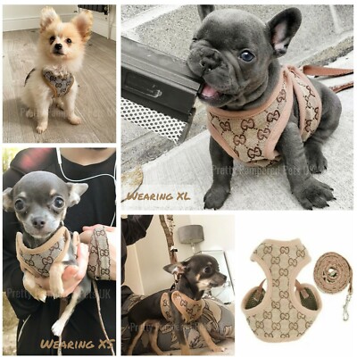 XXXS XXS XS Small Breeds Harness Coat +LEASH Chihuahua Puppy Dog Toy Mini