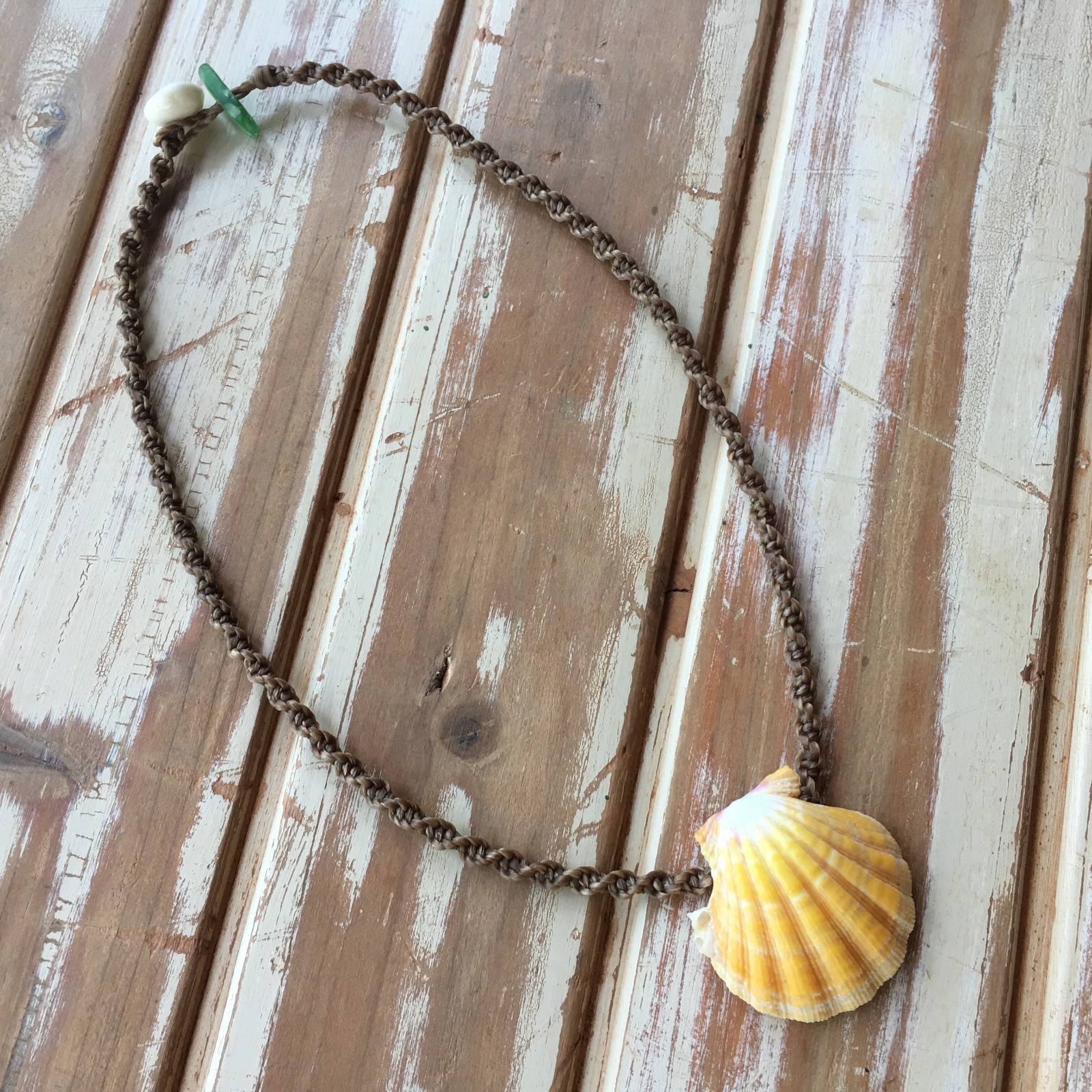 Unusual Hawaiian sunrise shell necklace with coral growth