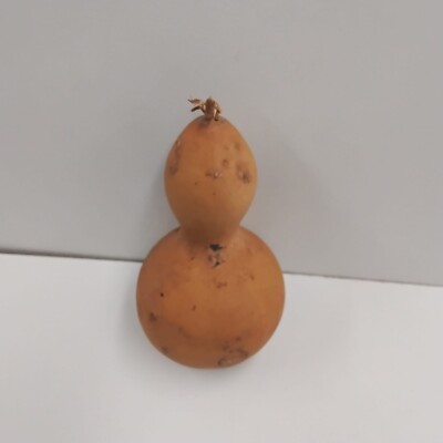 Ado/Igba Ado/African Dried Bottle Gourd/Bottle Gourd. 
