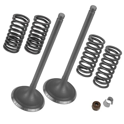 2x Intake Valve Kit for Honda Foreman Rubicon 500 4x4 2001 2002 2009 2011-2014