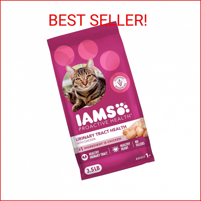 IAMS Proactive Health Dry Cat Food, Recipe with Chicken, 3.5 lb. Bag | eBay