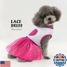 Idepet Spring Summer Pet Dog Cat Puppy Tutu Princess Dress Heart Printed Lace Dog Skirt Pet Apparel Dog Dress (Rose Red, XL)