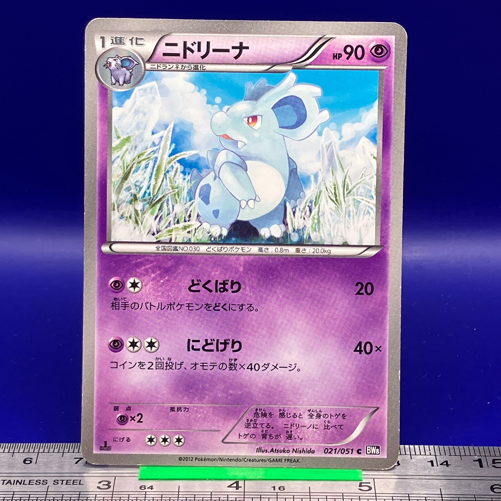 アメリカ購入品 Nidorina Nidorina Pokemon Card 021/051 BW8 2012 1st Ed Game Freak TCG