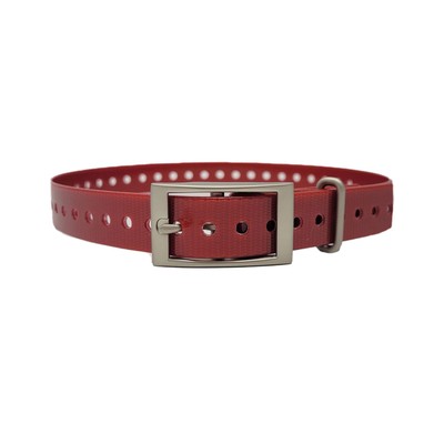 1  Basic Replacement Dog Collar Straps   10 pack