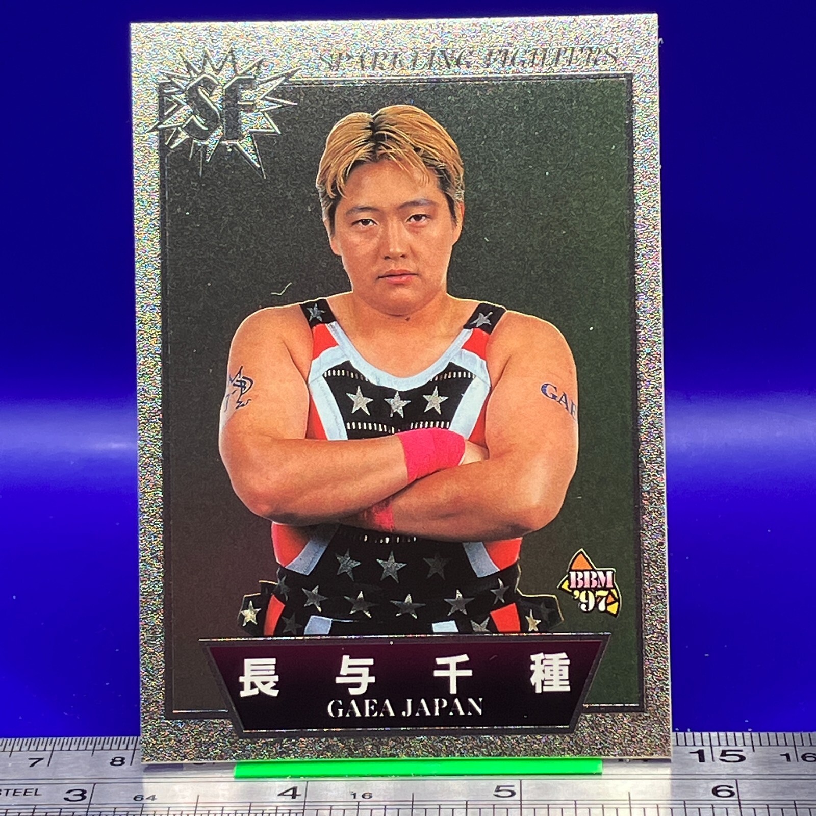 いま人気のアイテム Chigusa Vintage TCG Card Wrestling Pro Women's BBM Nagayo ポケモンカードゲーム